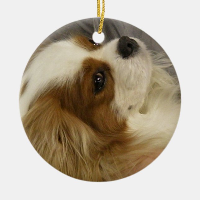 Unbekümmerte Cocker spaniel-Verzierung Keramik Ornament (Vorne)