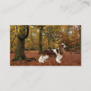 Unbekümmerte Königcharles Spaniel Breede Visitenkarte