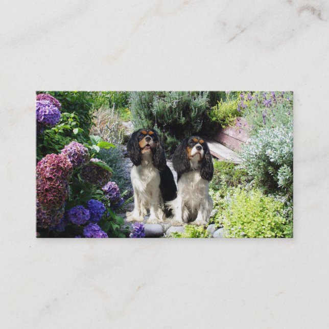 Unbekümmerte Königcharles Spaniel Breede Visitenkarte (Vorderseite)