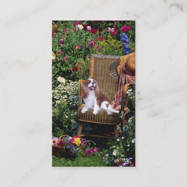 Unbekümmerte Königcharles Spaniel BreederBusiness Visitenkarte (Vorderseite)