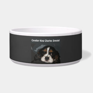 Unbekümmerte Königcharles Spaniel-Hundeschüssel Napf