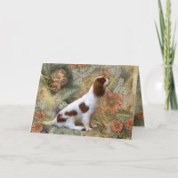 Unbekümmerte Königcharles Spaniel-Karte