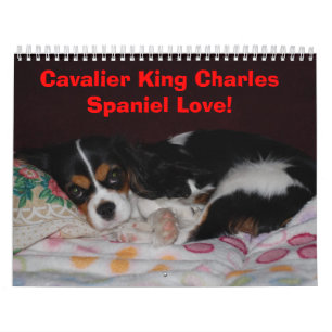 Unbekümmerte Königcharles Spaniel-Liebe! - Kalender