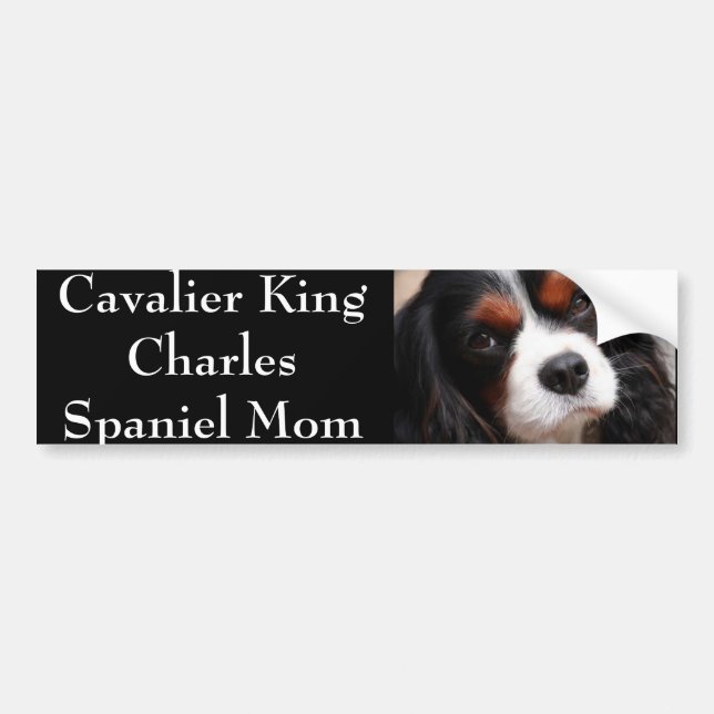 Unbekümmerte Königcharles Spaniel-Mama Autoaufkleber (Vorne)