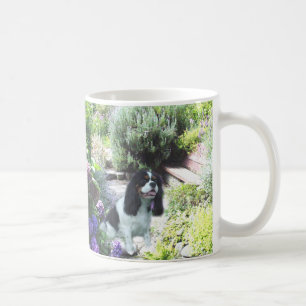 Unbekümmerte Königcharles Spaniel-Savvy Tasse