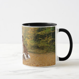 Unbekümmerte Königcharles Spaniel-Tasse Tasse