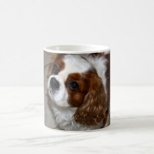Unbekümmerte Königcharles Spaniel-Tasse Tasse