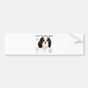 Unbekümmerte Königcharles Spaniel-(tricolor) Autoaufkleber