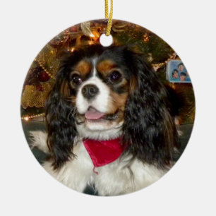 Unbekümmerte Königcharles Spaniel-Verzierung Keramik Ornament