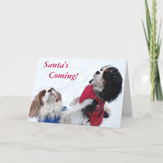 Unbekümmerte Königcharles Spaniel-Weihnachtskarte Feiertagskarte