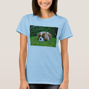 Unbekümmerter Königcharles Spaniel Blenheim im T-Shirt