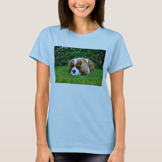 Unbekümmerter Königcharles Spaniel Blenheim im T-Shirt (Vorderseite)