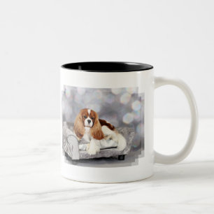 Unbekümmerter Königcharles Spaniel - Ethan Zweifarbige Tasse