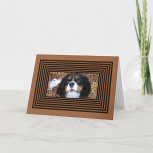 Unbekümmerter Königcharles Spaniel im Herbstlaub Karte