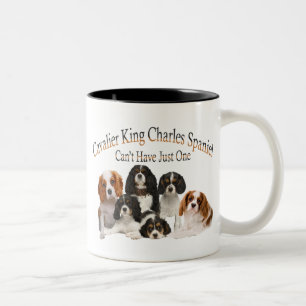 Unbekümmerter Königcharles Spaniel kann gerade e Zweifarbige Tasse