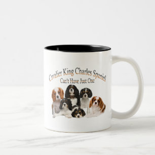 Unbekümmerter Königcharles Spaniel kann gerade ein Zweifarbige Tasse
