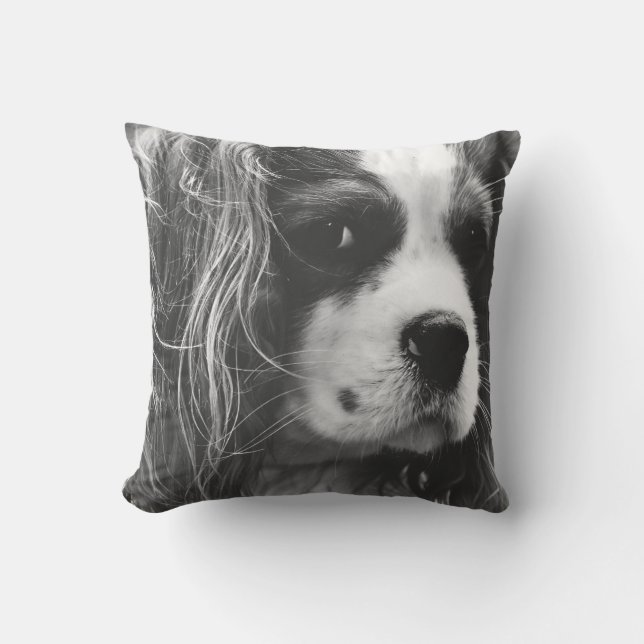 Unbekümmerter Königcharles Spaniel Kissen (Vorderseite)