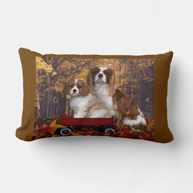 Unbekümmerter Königcharles Spaniel Lendenkissen (Vorderseite)