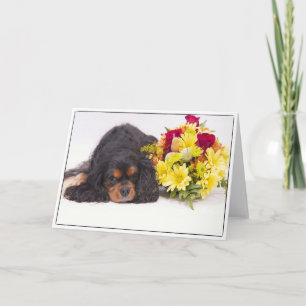 Unbekümmerter Königcharles Spaniel mit Karte