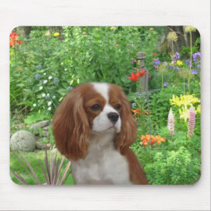 Unbekümmerter Königcharles Spaniel Mousepad