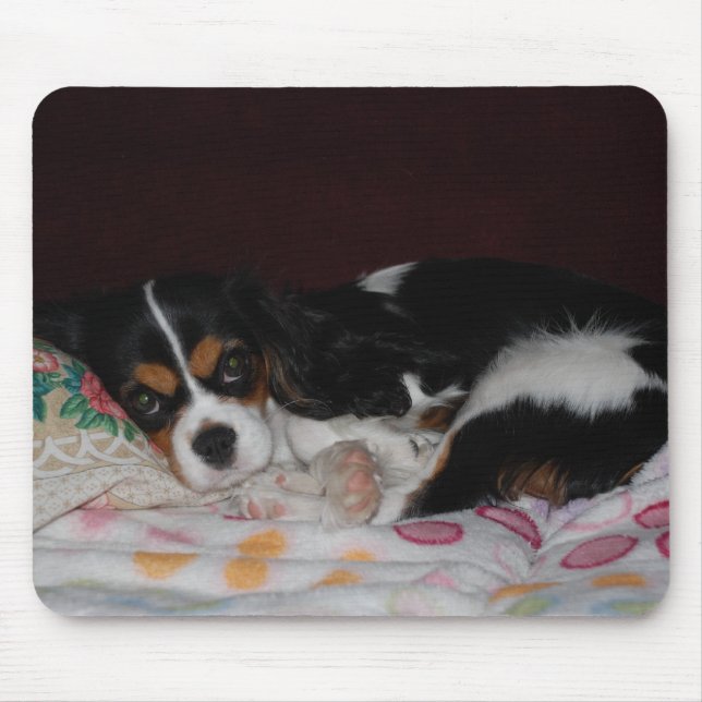 Unbekümmerter Königcharles Spaniel Mousepad (Vorne)