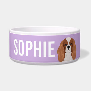 Unbekümmerter Königcharles Spaniel Napf