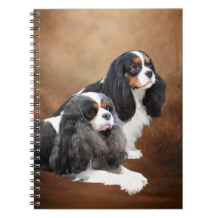 Unbekümmerter Königcharles Spaniel Notizblock