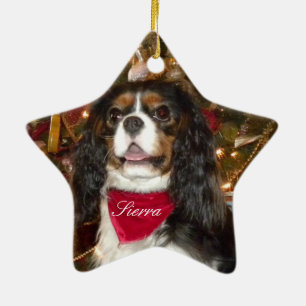 Unbekümmerter Königcharles Spaniel personifizier Keramikornament