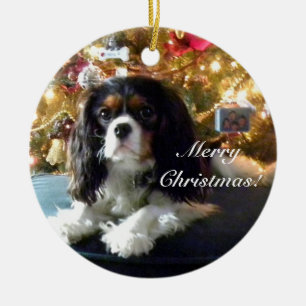 Unbekümmerter Königcharles Spaniel personifizieren Keramik Ornament