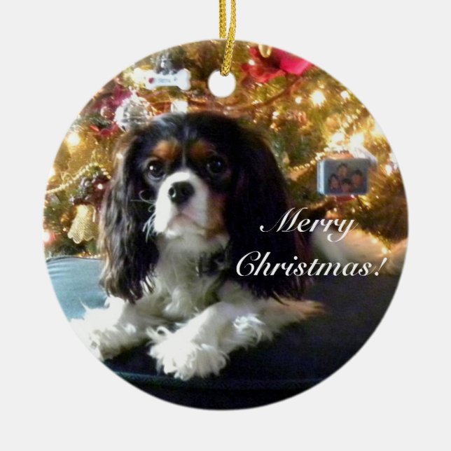 Unbekümmerter Königcharles Spaniel personifizieren Keramik Ornament (Vorne)