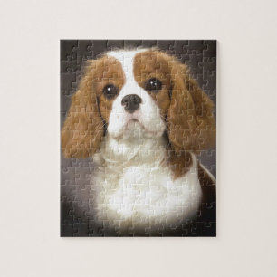 Unbekümmerter Königcharles Spaniel Puzzle