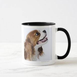 Unbekümmerter Königcharles Spaniel, Seitenansich Tasse