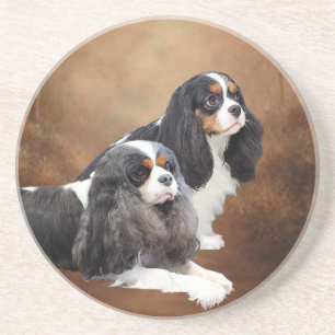 Unbekümmerter Königcharles Spaniel Untersetzer