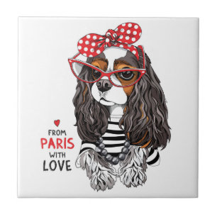 Unbekümmerter Königcharles Spaniel von Paris mit Fliese