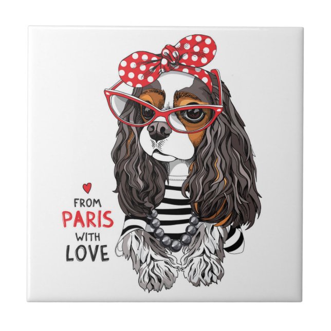 Unbekümmerter Königcharles Spaniel von Paris mit Fliese (Vorderseite)