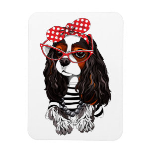 Unbekümmerter Königcharles Spaniel von Paris mit Magnet