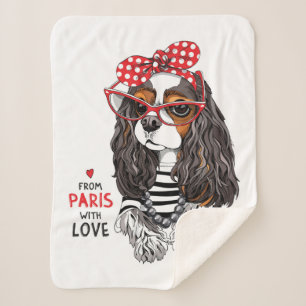 Unbekümmerter Königcharles Spaniel von Paris mit Sherpadecke