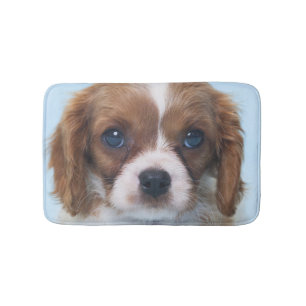 Unbekümmerter Königcharles Spaniel-Welpe Badematte