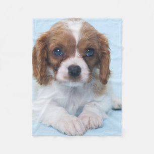 Unbekümmerter Königcharles Spaniel-Welpe Fleecedecke