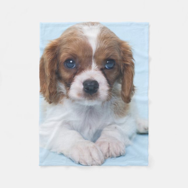 Unbekümmerter Königcharles Spaniel-Welpe Fleecedecke (Vorderseite)