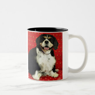 UNBEKÜMMERTER KÖNIGcharles SPANIEL Zweifarbige Tasse