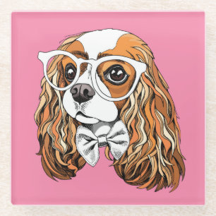 Unbekümmertes Königcharles Spaniel-Porträt Glasuntersetzer