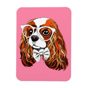 Unbekümmertes Königcharles Spaniel-Porträt Magnet
