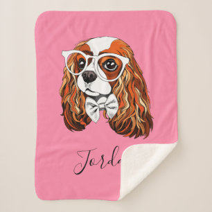 Unbekümmertes Königcharles Spaniel-Porträt   Sherpadecke