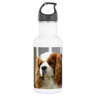 Unbekümmertes Königcharles Spaniel-Porträt Trinkflasche