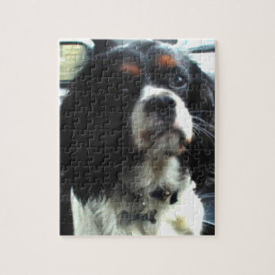 Unbekümmertes Königcharles Spaniel-Puzzlespiel Puzzle