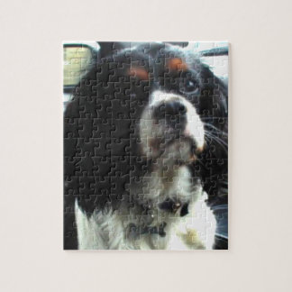 Unbekümmertes Königcharles Spaniel-Puzzlespiel Puzzle