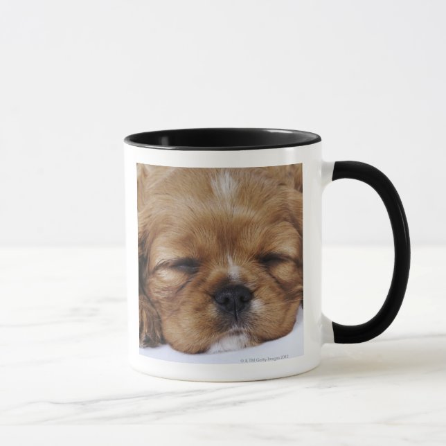 Unbekümmertes Königcharles Spaniel-Welpenschlafen Tasse (Rechts)