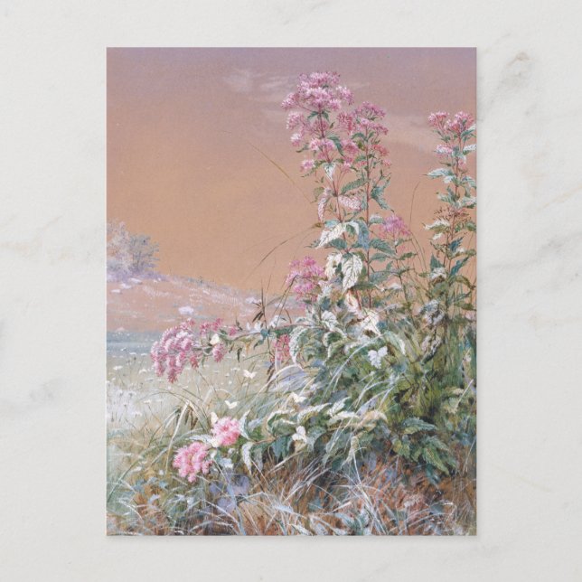 unbenannt | Fidelia Bridges Postkarte (Vorderseite)