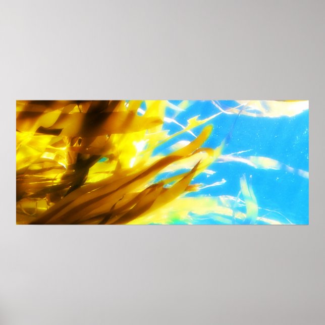 unbenannt poster (Vorne)